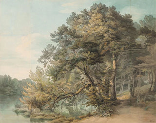 Peamore Devon - John White Abbott — Ansicht des Kunstwerks