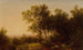 Solitude - John William Casilear — artwork view