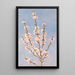 Peach Blossom - John William Hill — framed artwork on a wall