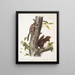 Sciurus Fremonsii Eichhörnchen von Fremont Natürliche Größe 2 Sciurus fuliginosus Schleiereule Natürliche Größe - John Woodhouse Audubon — gerahmtes Bild an der Wand