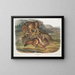 Lupo delle praterie maschio - John Woodhouse Audubon — quadro incorniciato alla parete