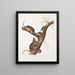 Neotoma Floridana Ratto della Florida Dimensione naturale Maschio, femmina e giovani di età diversa - John Woodhouse Audubon — quadro incorniciato alla parete