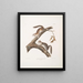 Écureuil velu Sciurus laniginosus, taille naturelle - John Woodhouse Audubon — gerahmtes Bild an der Wand