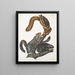 Sciurus cinereus Écureuil-chat Taille naturelle - John Woodhouse Audubon — gerahmtes Bild an der Wand