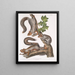 Sciurus migratorius Eichhörnchen Wanderer Natürliche Größe 1 Alter Männlich 2 Weibchen 3 Junge - John Woodhouse Audubon — gerahmtes Bild an der Wand