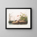 Sorex palustris, topor delle paludi americano, dimensioni naturali - John Woodhouse Audubon — quadro incorniciato alla parete