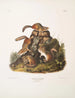 Tamias lysterii Chipping Squirrel Hackee c Größe naturgetreu Männlich Weiblich und Jung Erster Herbst - John Woodhouse Audubon — Ansicht des Kunstwerks