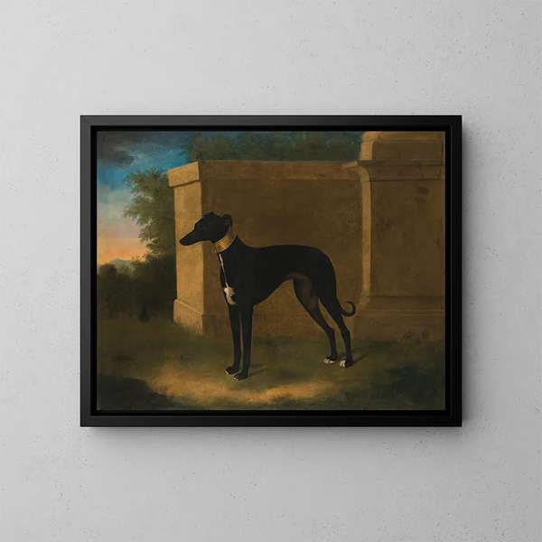 Portrait eines Windhundes namens Pompon - John Wootton — gerahmtes Bild an der Wand