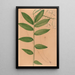 Iconographie des orchidées du Brésil Pl19 - João Barbosa Rodrigues — framed artwork on a wall