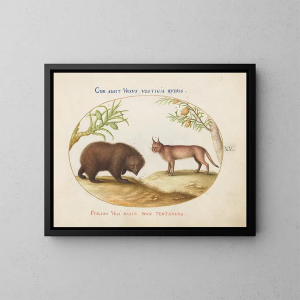 Ein Bär und ein Luchs - Joris Hoefnagel — gerahmtes Bild an der Wand