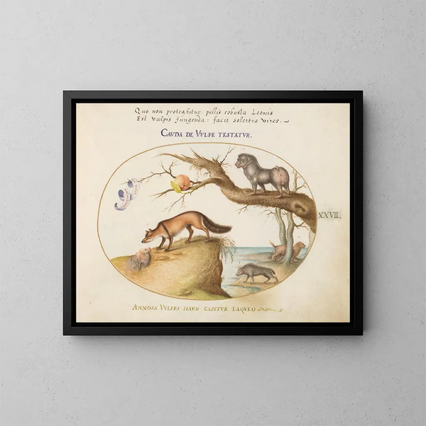 eines Kreuzfuchses, einer Hyäne, eines Pavian, eines Seewolfes und eines Gulo - Joris Hoefnagel — gerahmtes Bild an der Wand