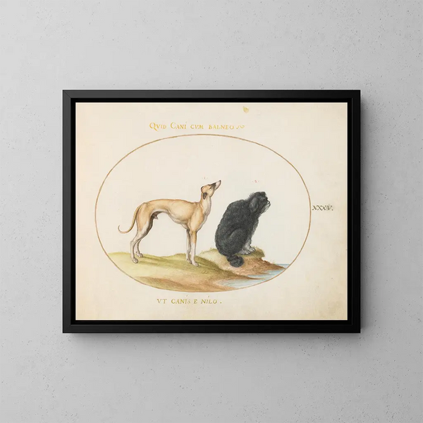 Ein Jagdhund und ein Wasserspaniel - Joris Hoefnagel — gerahmtes Bild an der Wand