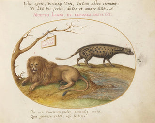 Joris Hoefnagel - A Lion and a Civet Cat.webp
