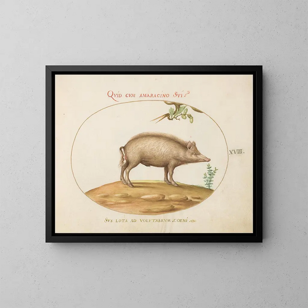eines Schweins mit Eicheln - Joris Hoefnagel — gerahmtes Bild an der Wand