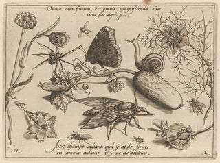 Joris Hoefnagel - Archetypa studiaque patris Georgii Hoefnagelii Pl15.webp