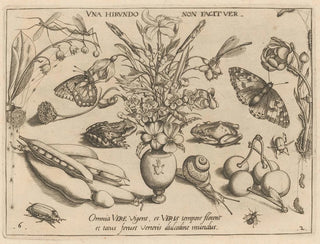 Joris Hoefnagel - Archetypa studiaque patris Georgii Hoefnagelii Pl21.webp