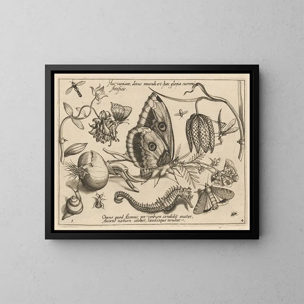 Archetipi e studi del padre Georgius Hoefnagel - Joris Hoefnagel — quadro incorniciato alla parete