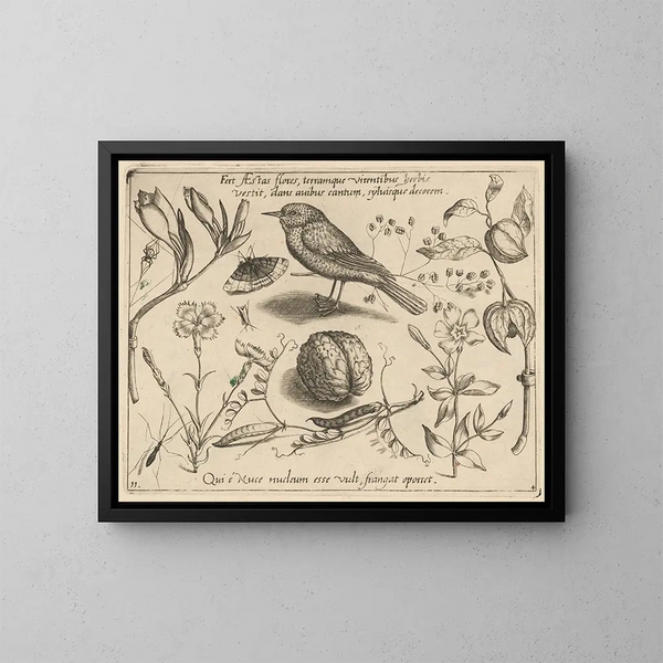 Archétypes e studi del padre Georgius Hoefnagel Pl41 - Joris Hoefnagel — quadro incorniciato alla parete