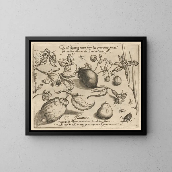 Archétypes e studi del padre Georgius Hoefnagel Pl43 - Joris Hoefnagel — quadro incorniciato alla parete
