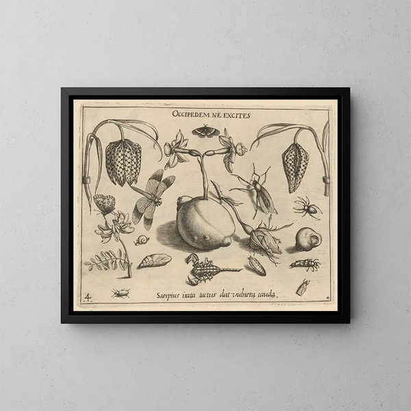 Archétypes e studi del padre Georgius Hoefnagel Pl45 - Joris Hoefnagel — quadro incorniciato alla parete