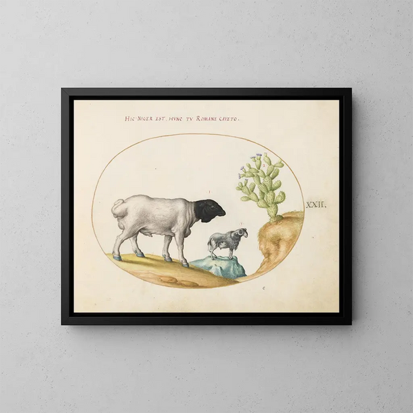 di pecore persane con testa nera e una pecora con coda lunga con un cactus - Joris Hoefnagel — quadro incorniciato alla parete