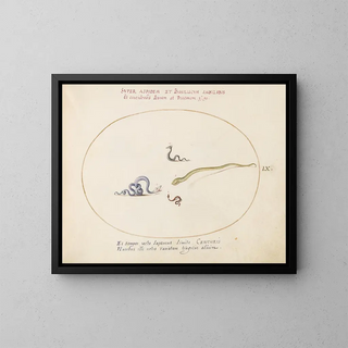 Joris Hoefnagel - Four Small Snakes.webp