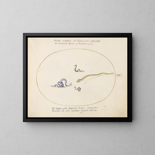 Quattro piccoli serpenti - Joris Hoefnagel — quadro incorniciato alla parete