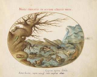 Joris Hoefnagel - Frogs Lizards and Salamanders in a Landscape.webp