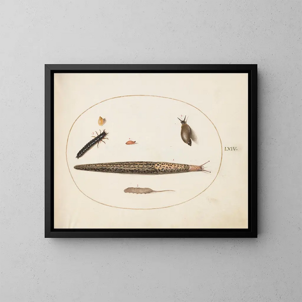 Limace leopardo, scarabeo terrestre, larva e maggot con coda e altre creature - Joris Hoefnagel — quadro incorniciato alla parete