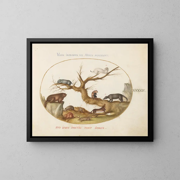 Marmotte, criceti, ratto, topo di campagna, sorice e coati - Joris Hoefnagel — quadro incorniciato alla parete