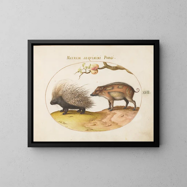 Igel des alten Welt und Wildschwein - Joris Hoefnagel — gerahmtes Bild an der Wand