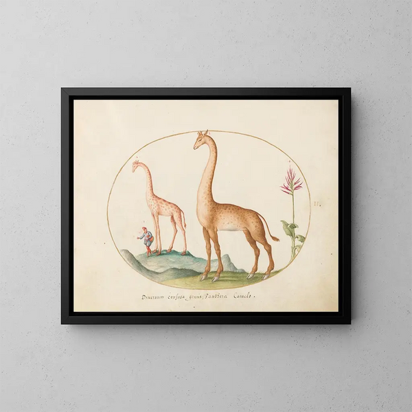 Planche 02 Zwei Giraffen mit einem Begleiter - Joris Hoefnagel — gerahmtes Bild an der Wand