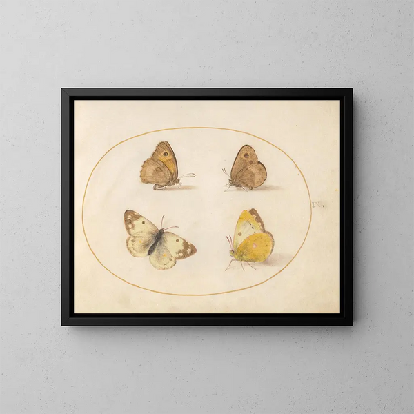 Plaque 09 Schmetterlinge Wiesenbiene, Gatekeeper, Clouded Yellow und Bath White - Joris Hoefnagel — gerahmtes Bild an der Wand