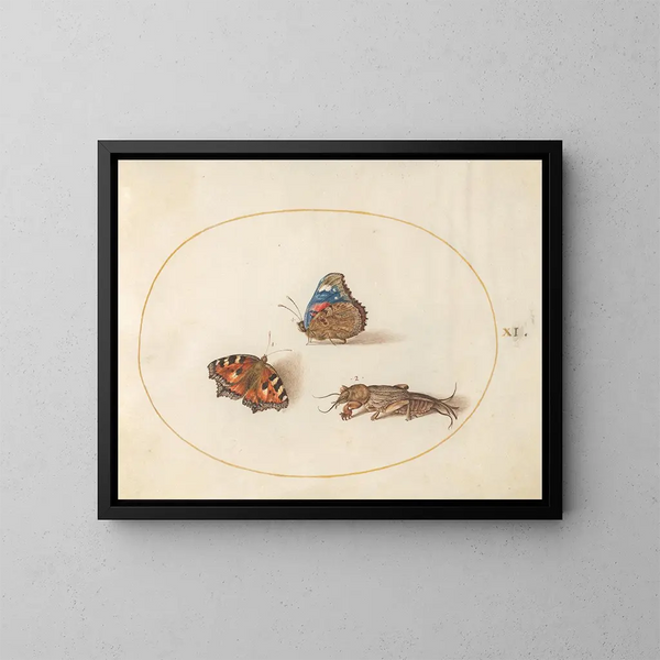 Planche 11 de Schmetterlinge kleine Schildkröte und roter Admiral mit einer Taupe-Grille - Joris Hoefnagel — gerahmtes Bild an der Wand