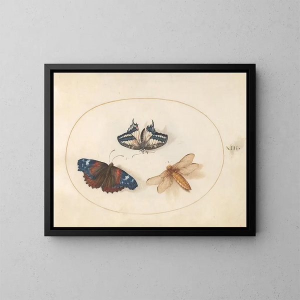 Plaque 13: Schmetterlinge mit gelbem Schwalbenschwanz und rotem Admiral mit einer großen libellenjägerischen Libelle am Körper - Joris Hoefnagel — gerahmtes Bild an der Wand