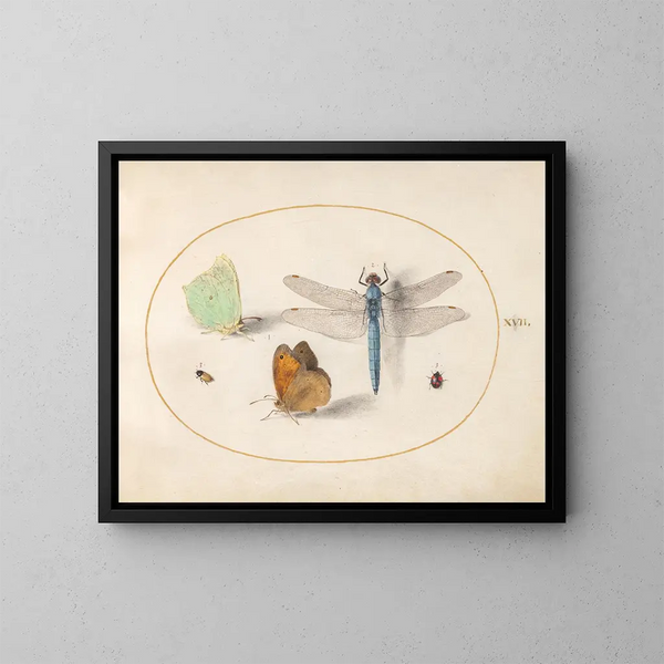 Planche 17: Schwebe- und Wiesen-Schmetterlinge, ein blauer Jäger und zwei kleine Insekten - Joris Hoefnagel — gerahmtes Bild an der Wand