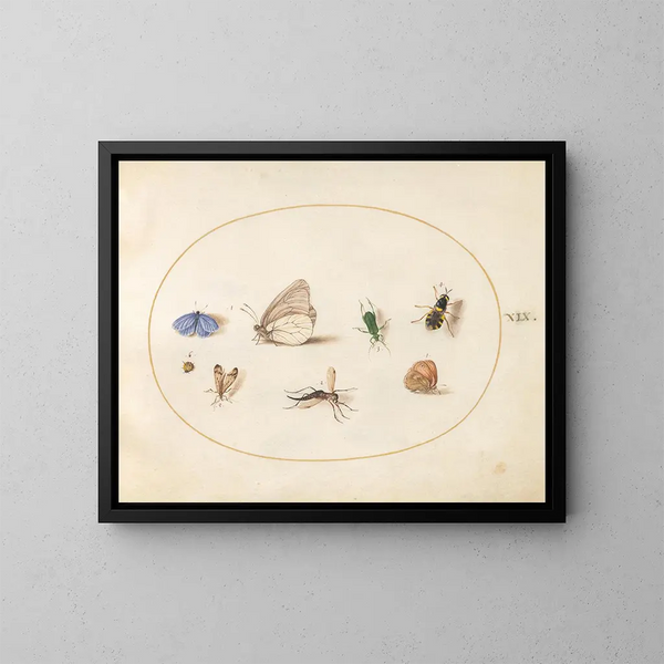 Platine 19 Zwei Schmetterlinge mit fünf weiteren Insekten - Joris Hoefnagel — gerahmtes Bild an der Wand