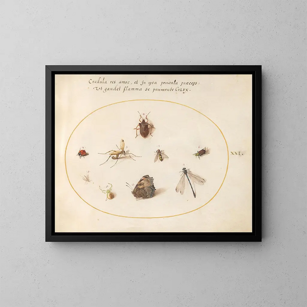 Platinen-Gemälde 21 Ein Schmetterling mit einer Libelle, einem Marienkäfer und fünf weiteren Insekten - Joris Hoefnagel — gerahmtes Bild an der Wand