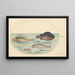 Planche 24 Grondin volant Hirondelle Lumpsucker mâle Poisson-trompette à longues épines et autres poissons - Joris Hoefnagel — gerahmtes Bild an der Wand