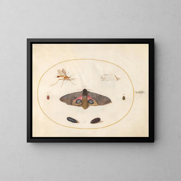 Platinen-Gemälde 27 Ein Sphinx mit Augen, zwei Chrysaliden und anderen Insekten - Joris Hoefnagel — gerahmtes Bild an der Wand