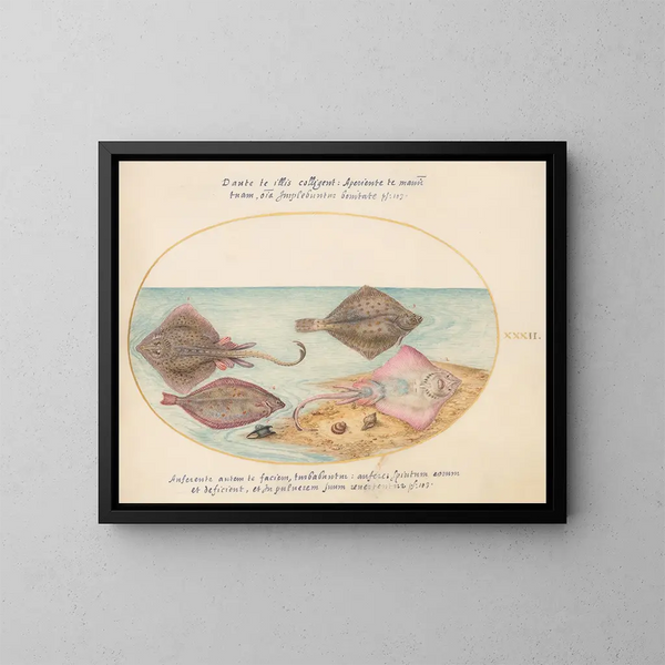Planche 32: Raies avec un œuf et deux poissons plats - Joris Hoefnagel — gerahmtes Bild an der Wand