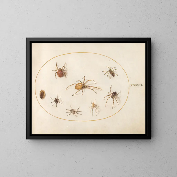 Platinen-Gemälde 37 Sept Spinnen und ein Insekt - Joris Hoefnagel — gerahmtes Bild an der Wand