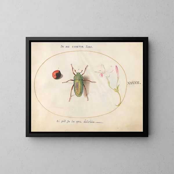 Plaque 42: Schmuckskarabäus mit einem Perlenkranz und einer Oleanderblüte - Joris Hoefnagel — gerahmtes Bild an der Wand