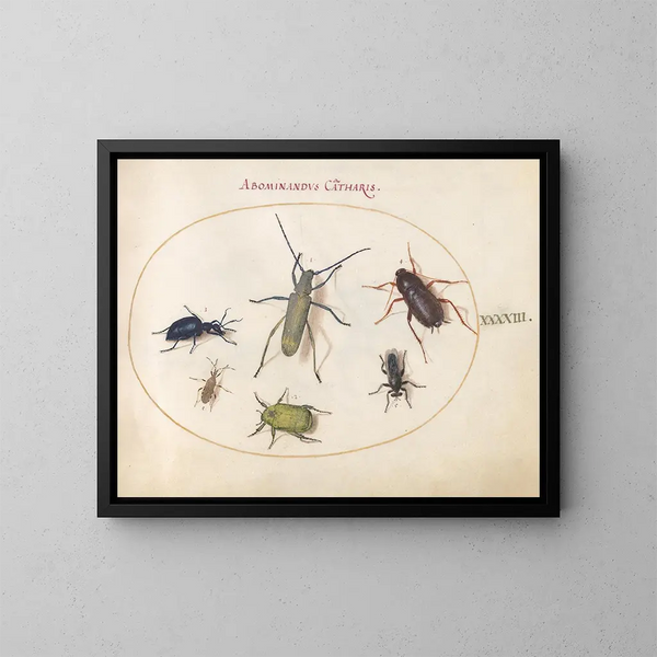 Planche 43: Scarabée musqué, scarabée huileux, scarabée de la tanaisie, cafard, punaise à pattes foliacées et autres insectes - Joris Hoefnagel — gerahmtes Bild an der Wand