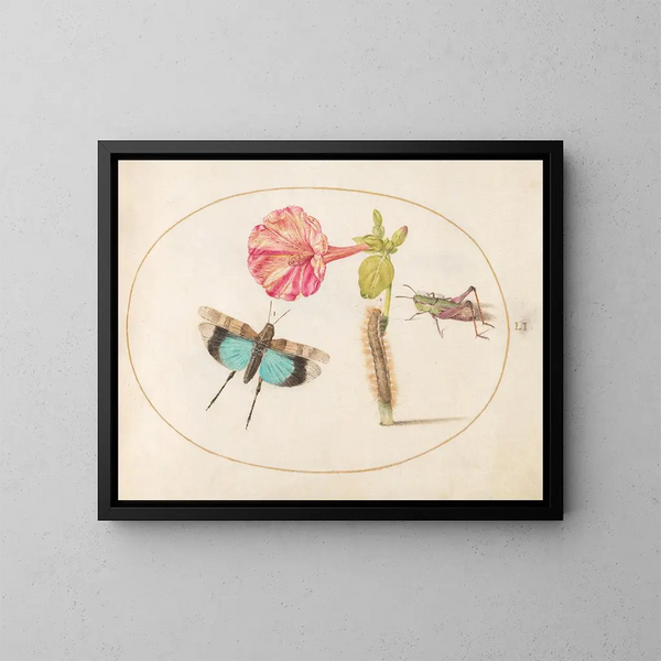 Platinen-Gemälde 51 Heuschrecken und eine Raupe mit einer Vier-Uhr-Blume - Joris Hoefnagel — gerahmtes Bild an der Wand