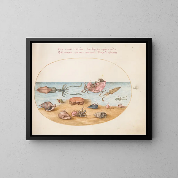 Platinen-Gemälde 52 Ein Argonaut, Einsiedlerkrebse, Muscheln und eine Krabbe - Joris Hoefnagel — gerahmtes Bild an der Wand