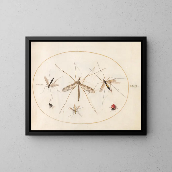 Platinen-Gemälde 57 Eine Marienkäfer, eine Fliege und vier andere Insekten - Joris Hoefnagel — gerahmtes Bild an der Wand