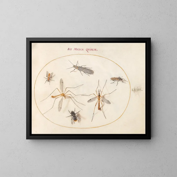 Platinen-Gemälde 58 Eine Biene und fünf andere Insekten - Joris Hoefnagel — gerahmtes Bild an der Wand