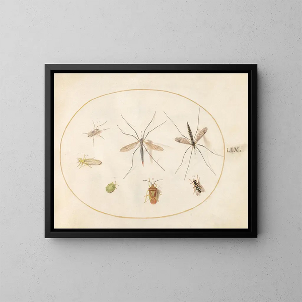 Platinen-Gemälde 59 Sept Insekten, darunter ein Insekten-Schild der Weißdorn, Fliegen und eine Schwebfliege - Joris Hoefnagel — gerahmtes Bild an der Wand