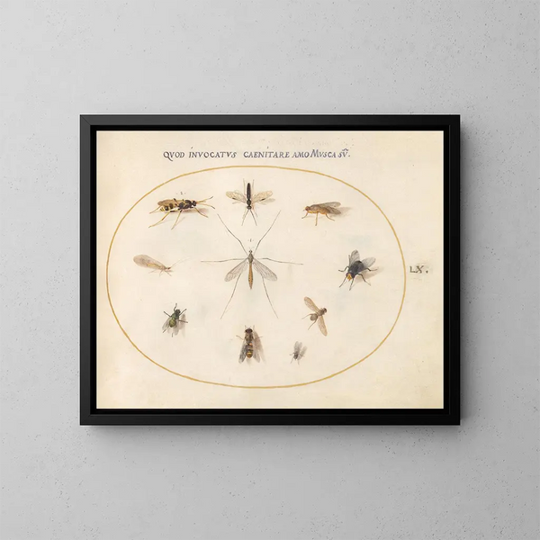 Pflanze 60 Fliegen und andere Insekten - Joris Hoefnagel — gerahmtes Bild an der Wand